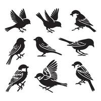 Sparrows captured in shadowy silhouettes on a white setting vector