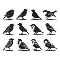 A clean and simple design featuring sparrow silhouettes on white vector