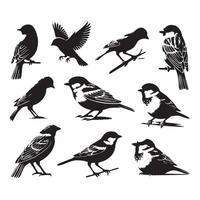 Sparrows depicted in silhouette on a pristine white background vector