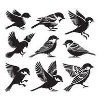 A group of sparrows depicted in silhouette on a bright white background vector