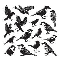Subtle sparrow silhouettes displayed elegantly on a white background vector