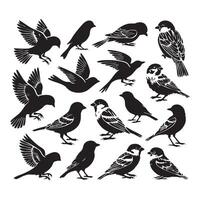 Silhouette set of sparrows on white background vector