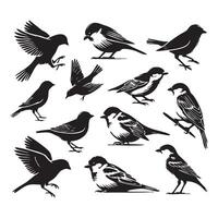 A serene layout of sparrow silhouettes on a white canvas vector