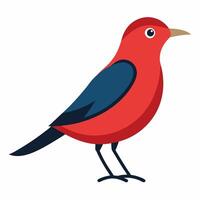 Elegant Bird Illustration Silhouette Design vector