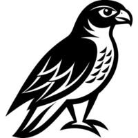 High Quality Peregrine Falcon Silhouette for Graphics vector