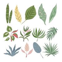 Hand drawn set of design pastel elements tropical leaves. Perfect for card, poster, packaging, paper pattern, background. vector