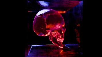 Discover mesmerizing skull patterns illuminated in vibrant colors at night video