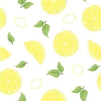 Seamless pattern with hand drawn lemon slice on white background. Fresh organic fruit, healthy, vegan, raw food. vector