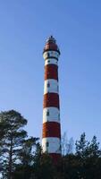un alto rojo y blanco a rayas osinovets faro soportes en contra un claro azul cielo, rodeado por pino arboles el histórico faro pasa por alto el apuntalar de lago ladoga video