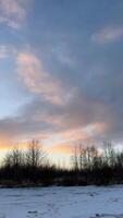 A flock of birds flies high against a colorful sunset sky over a snow-covered winter landscape. Bare trees stand in the foreground, adding depth and contrast to the serene scene video