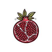 drawing ripe pomegranate, symbol of healthy lifestyle vector