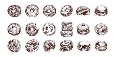 Hand-drawn vintage sketch collection of donuts with various fillings vector