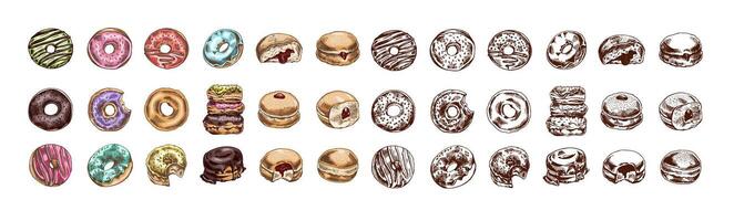 Hand-drawn vintage sketch set of donuts in color and monochrome vector