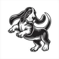 Paws in Motion The Dancing Basset vector