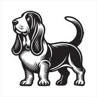 Basset Poise A Stately Stand in Design vector