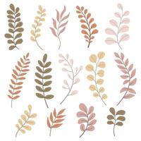Hand draw leaf for design. Set of leaves. vector