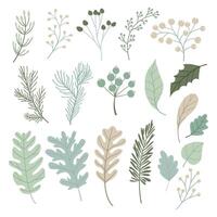Set of Hand drawn leaves shape. The elegant the template for design vector