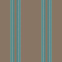 Vertical lines stripe pattern. stripes background fabric texture. Geometric striped line seamless abstract design. vector