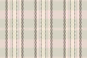 Masculine pattern fabric tartan, canvas check textile. Man background plaid texture seamless in light and cornsilk colors. vector