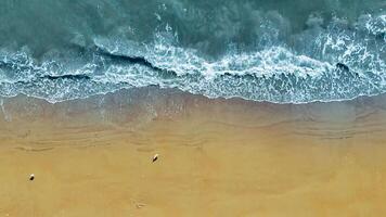 Aerial view of ocean waves and sandy beach with seagulls, A serene aerial view capturing gentle ocean waves washing onto a golden sandy beach with a few seagulls scattered along the shore. video
