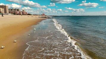 Sunny Beachfront with Waves and Seagulls. Beautiful sandy beach with gentle waves and seagulls along the shoreline, with a cityscape and blue skies in the background. video
