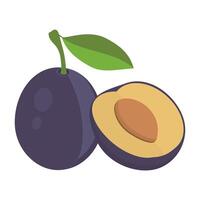 Whole purple plum and a halved plum with a visible stone and green leaf. vector
