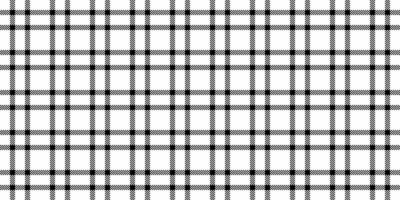 Paper seamless tartan plaid, vivid pattern texture. Part fabric background textile check in white and black colors. vector