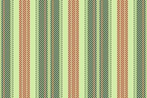 Diwali fabric stripe, isolation vertical lines seamless. Rich pattern background texture textile in light and dark colors. vector