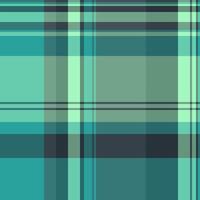 Dog tooth tartan textile check, hotel plaid seamless . Product fabric pattern background texture in pastel and green colors. vector