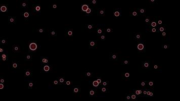 A black background with red circles video