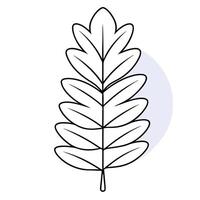 A leaf outline on a white background vector