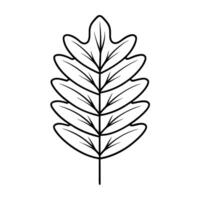 A leaf outline drawing on a white background vector