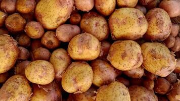 Fresh Brown New Potatoes Stacked in Bulk Displayed in Local Market video