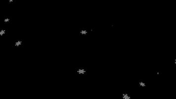 Snowfall animation transparent background with alpha channel video