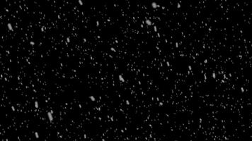 Snowfall animation transparent background with alpha channel video