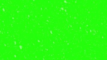 Snowfall animation transparent background with alpha channel video