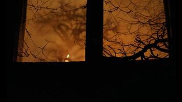 A window with a tree outside and the sun setting video