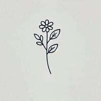 A flower is drawn on a white background vector