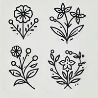 simple single floral outline minimal on a white background vector