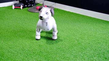 Robot dog performing movement on artificial grass in slow motion video