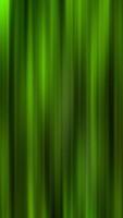 A exploring contrasting backgrounds, from black to green and brown. Movement video