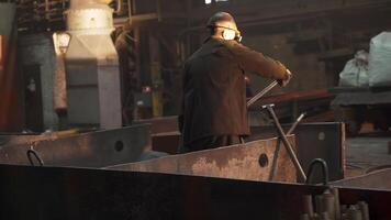 Industrial Scene Featuring a Worker Engaged in a Dynamic Warehouse Environment and Activity. Stock Clip video