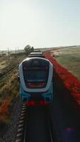Enjoy a mesmerizing Train Journey Through the Vibrant and Colorful Fields of Nature. Media video