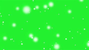 Engaging with captivating green screen and serene snowfall. Motion video