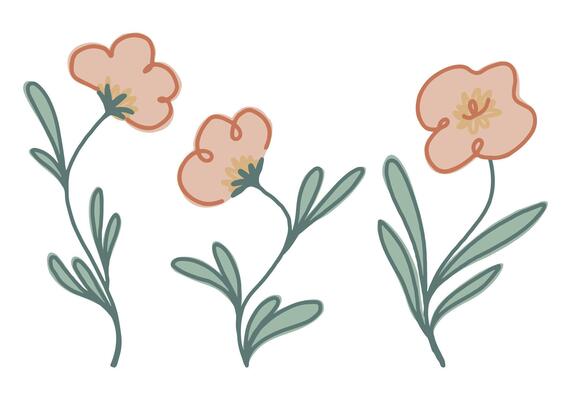 Collection of simple flowers. Hand drawn abstract botanical illustrations isolated on white.