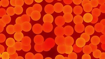 A vibrant of colorful circles on a red background evokes energy. Motion video