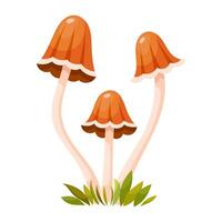 Pixie cap mushroom vector