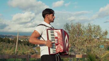 Expressive Accordionist Playing in Open Field video