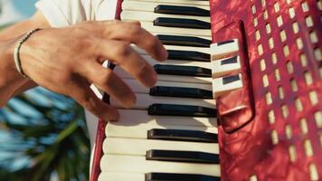 Hands On The Keyboard Of The Accordion video