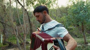 Lively Accordion Performance in Rustic Countryside video